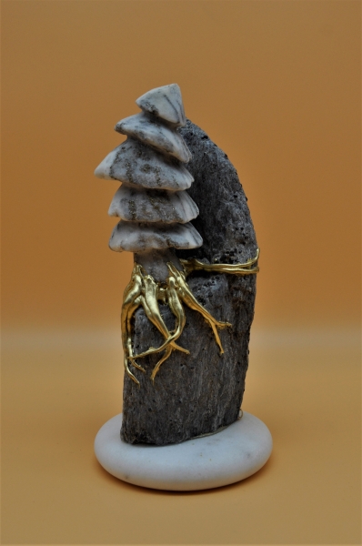 Kleiner Binntree am Granatschiefer